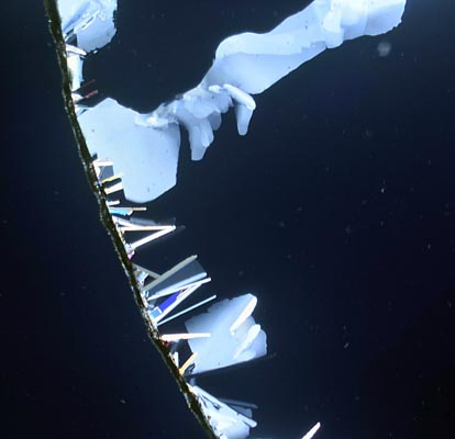 2x Plan Apo with crossed polarizers stack with Zerene Stacker PMax stack of 10 images